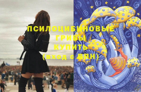 ГАЛЛЮЦИНОГЕННЫЕ ГРИБЫ Арсеньев
