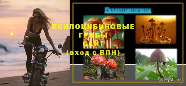 мяу мяу мука Аркадак