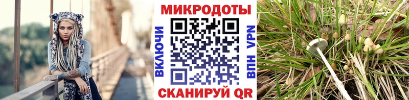 Галлюциногенные грибы Magic Shrooms  Шатура 
